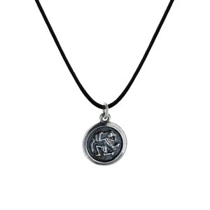 Zodiac necklace with cord