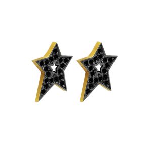 Σκουλαρίκι αστέρι με πέτρες ζιργκόν